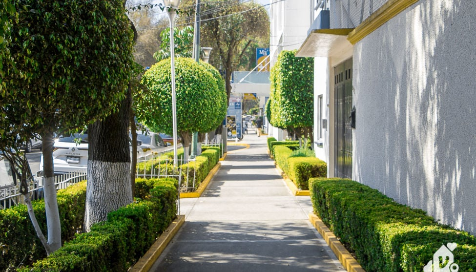 Vivir bien en Lindavista,colonia lindavista,colonia lindavista cdmx,vivir en Lindavista,estilo de vida lindavista,en lindavista, de lindavista, por lindavista, salud lindavista, Vivir bien en Lindavista,colonia lindavista,colonia lindavista cdmx,vivir en Lindavista,estilo de vida lindavista,en lindavista, de lindavista, por lindavista, salud lindavista,